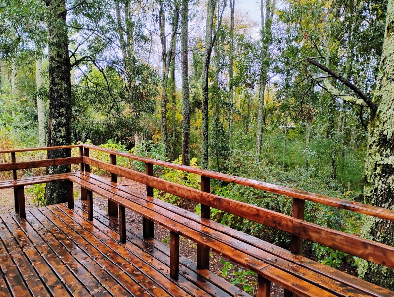 Casa en arriendo en Villarrica — foto 7
