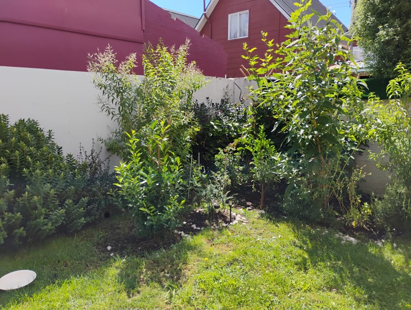Casa en venta en Villarrica — foto 10
