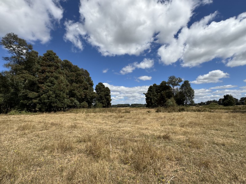 Campo en venta en Freire — foto 1