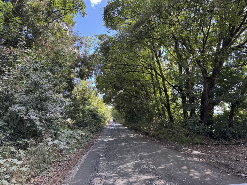Campo en venta en Freire — foto 2