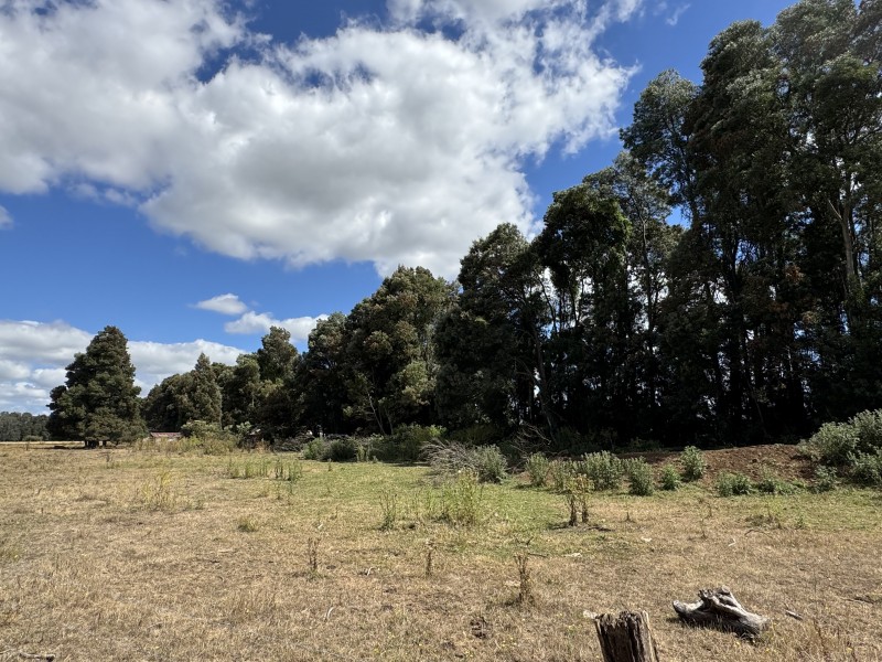 Campo en venta en Freire — foto 4