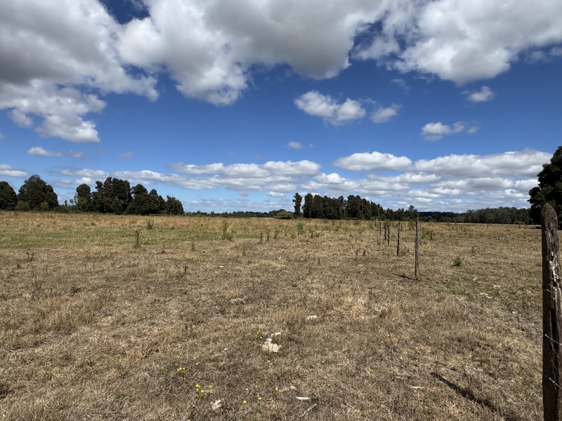 Campo en venta en Freire — foto 5