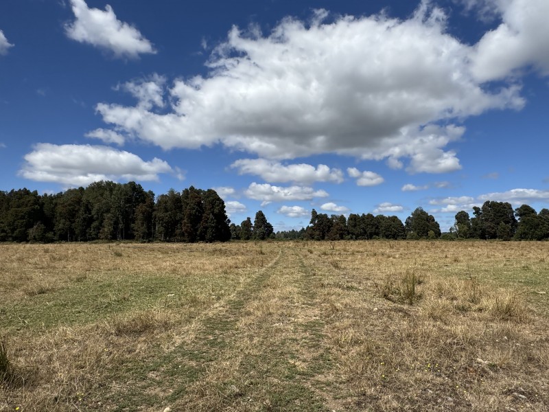 Campo en venta en Freire — foto 6
