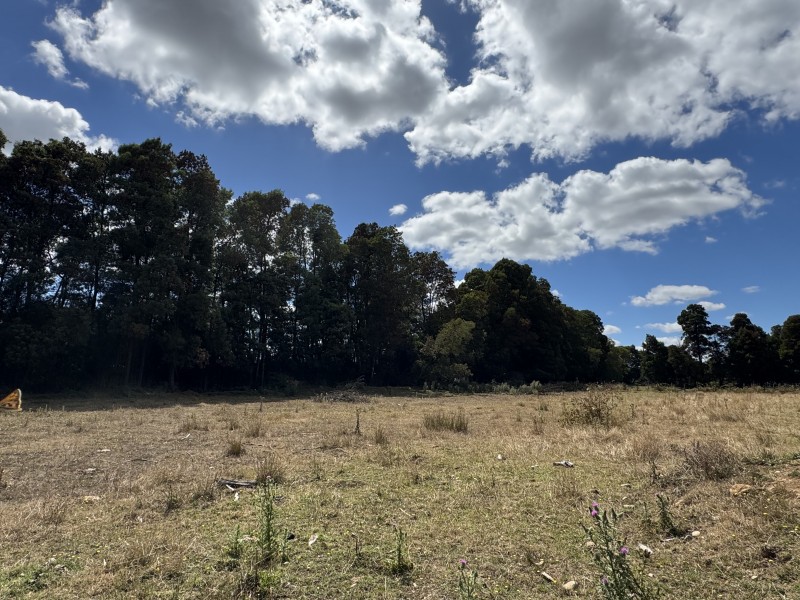 Campo en venta en Freire — foto 7