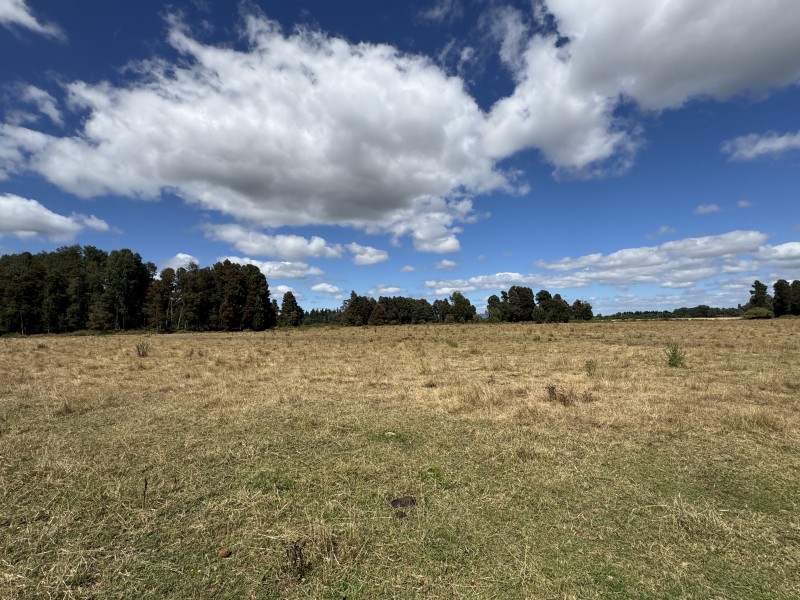 Campo en venta en Freire — foto 8