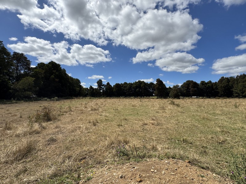 Campo en venta en Freire — foto 9