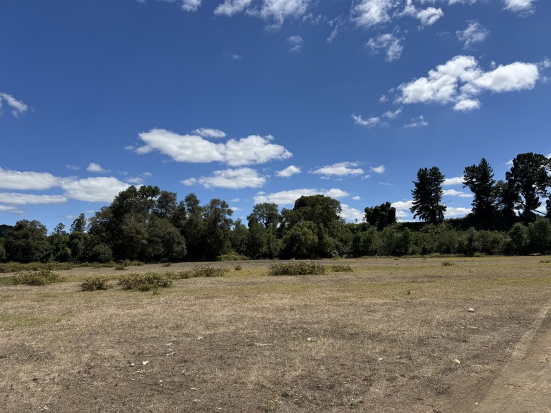 Campo en venta en Freire — foto 1
