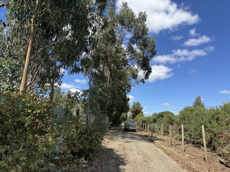 Campo en venta en Freire — foto 2