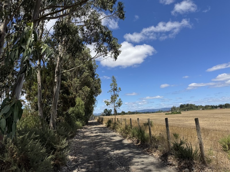 Campo en venta en Freire — foto 3
