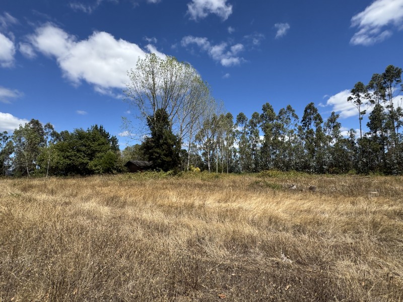 Campo en venta en Freire — foto 4
