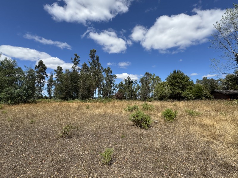 Campo en venta en Freire — foto 5