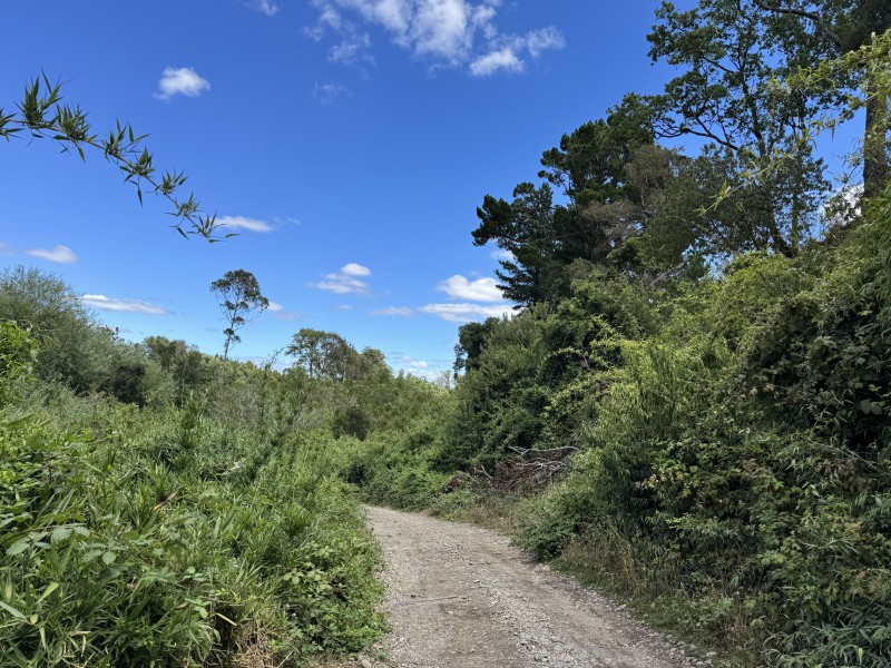 Campo en venta en Freire — foto 6