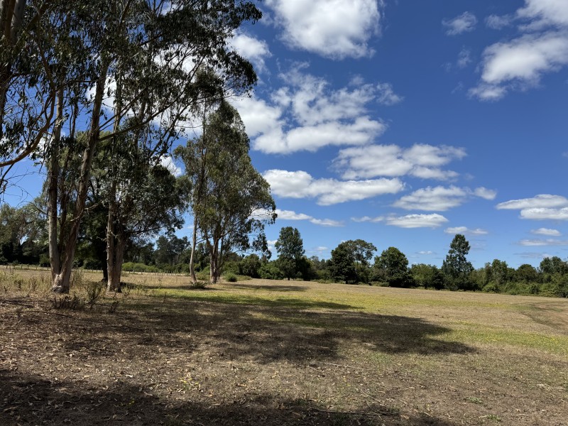 Campo en venta en Freire — foto 8