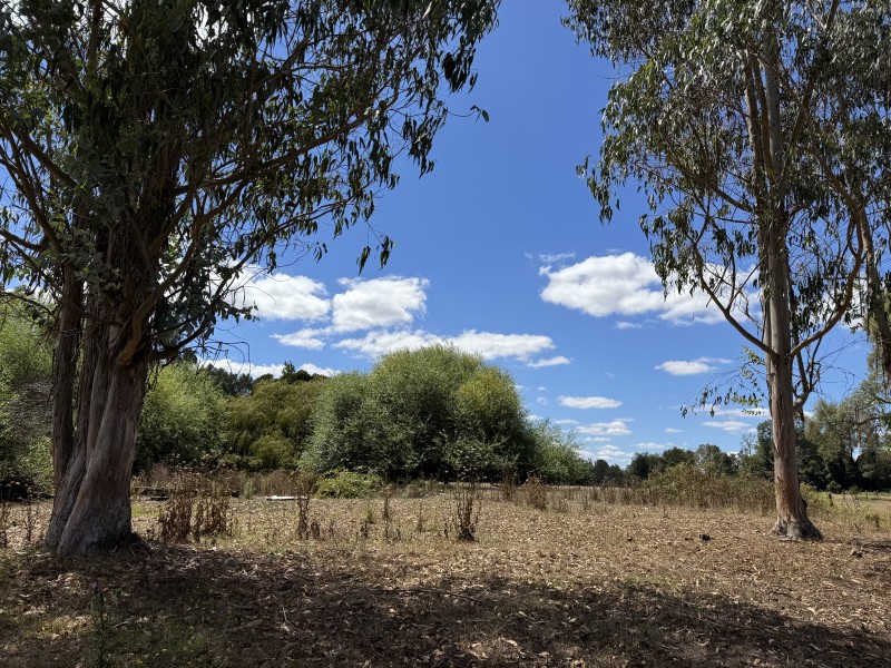 Campo en venta en Freire — foto 9