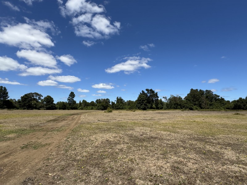Campo en venta en Freire — foto 10