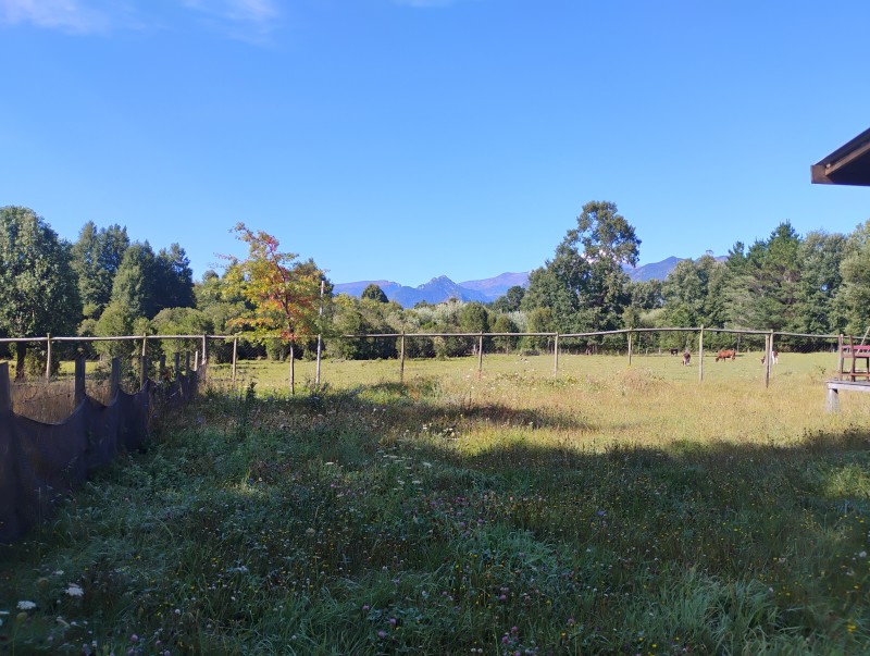 Casa en venta en Pucón — foto 4