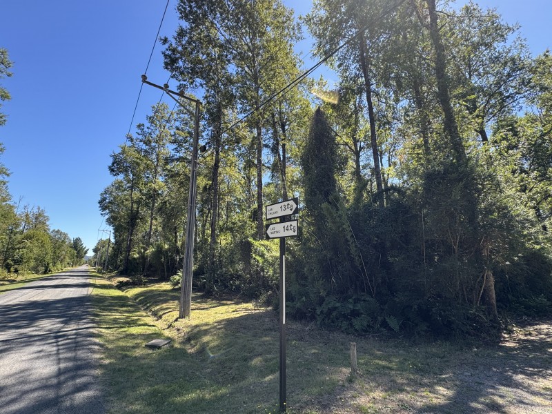 Parcela en venta en Villarrica — foto 1