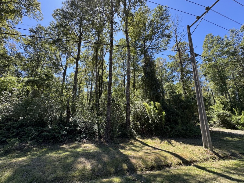 Parcela en venta en Villarrica — foto 8