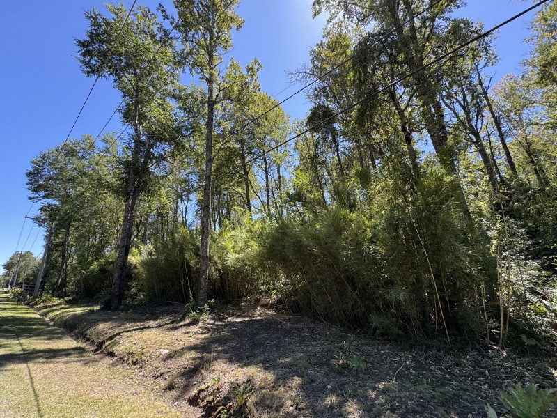 Parcela en venta en Villarrica — foto 9