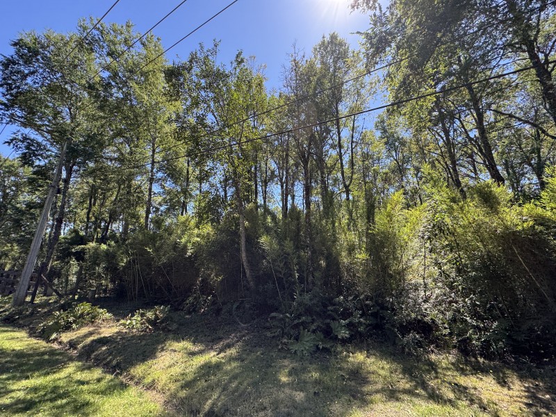 Parcela en venta en Villarrica — foto 10