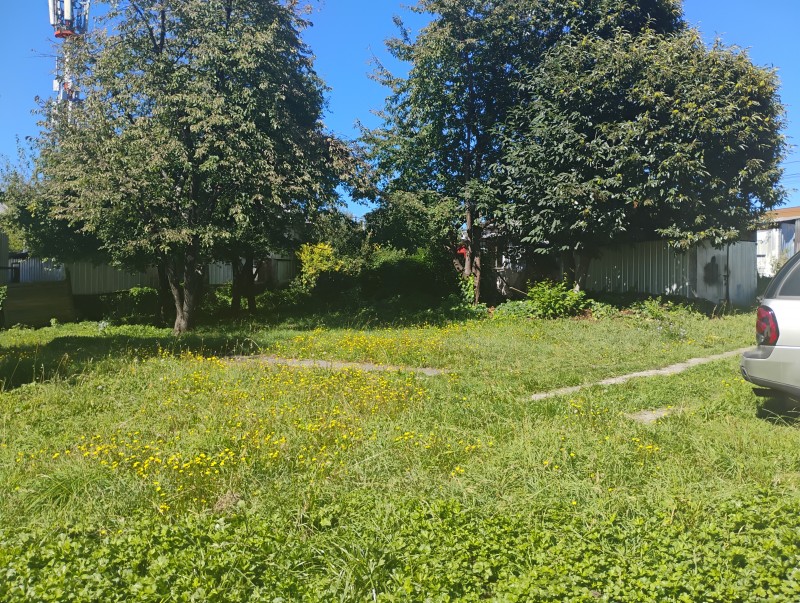 Terreno en venta en Villarrica — foto 2