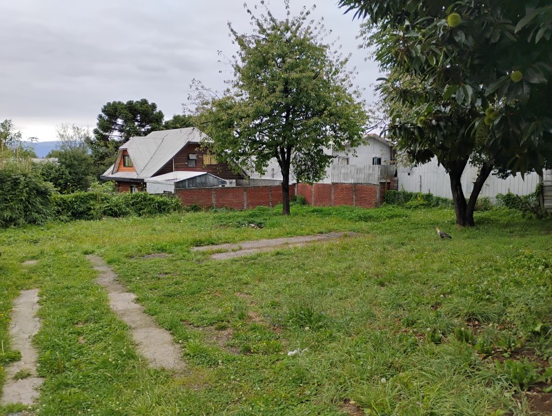 Terreno en venta en Villarrica — foto 4