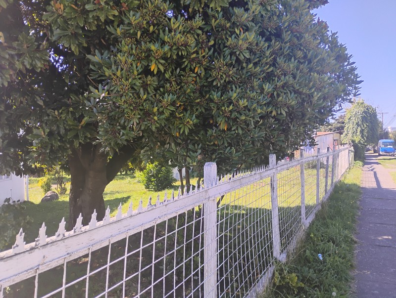 Terreno en venta en Villarrica — foto 4