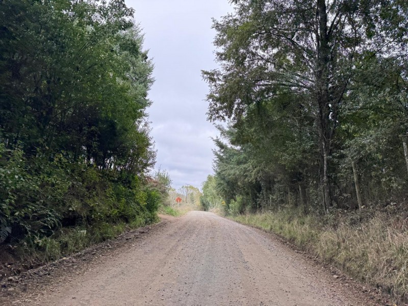 Parcela en venta en Villarrica — foto 4