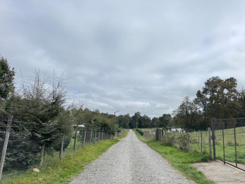 Parcela en venta en Villarrica — foto 5