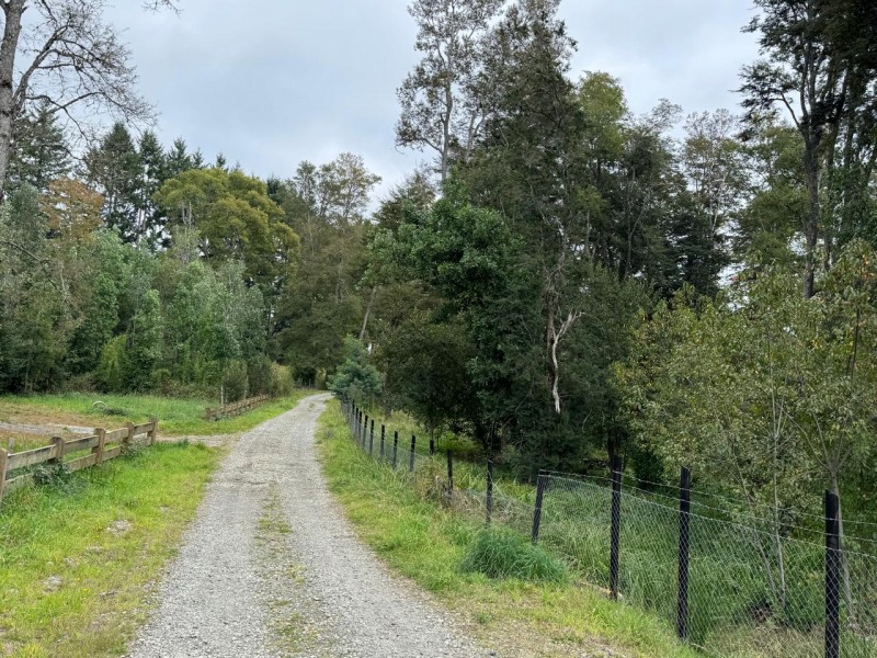 Parcela en venta en Villarrica — foto 6