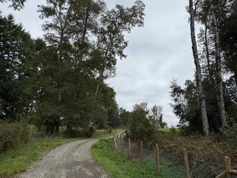 Parcela en venta en Villarrica — foto 7