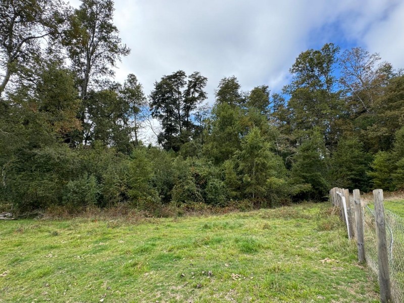 Parcela en venta en Villarrica — foto 10
