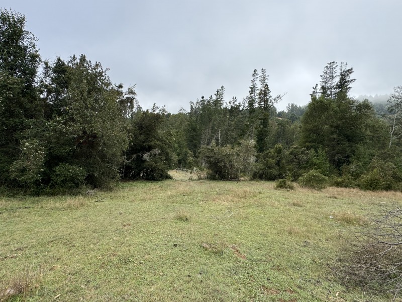 Campo en venta en Loncoche — foto 1