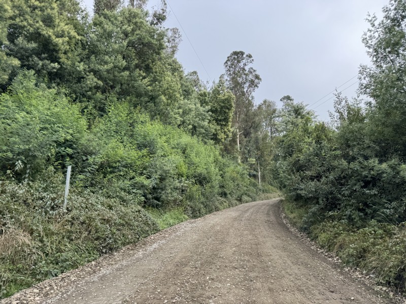 Campo en venta en Loncoche — foto 3