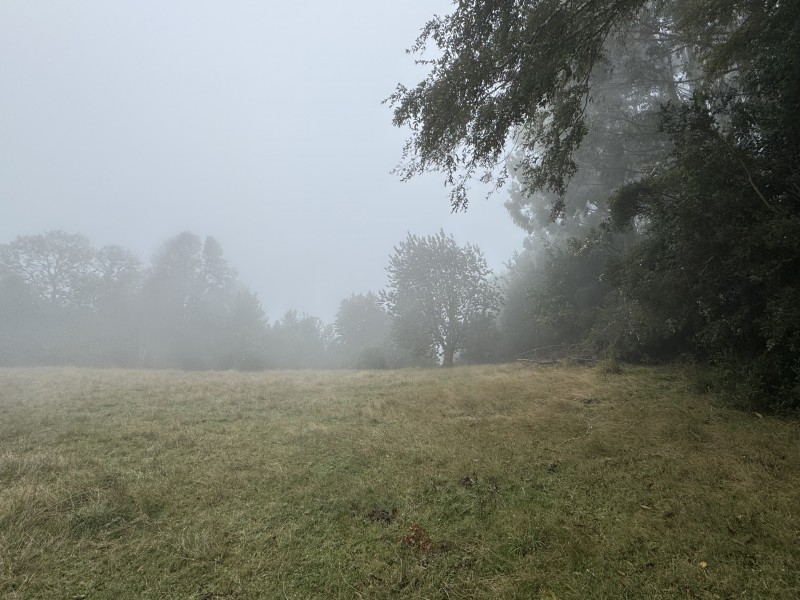 Campo en venta en Loncoche — foto 4