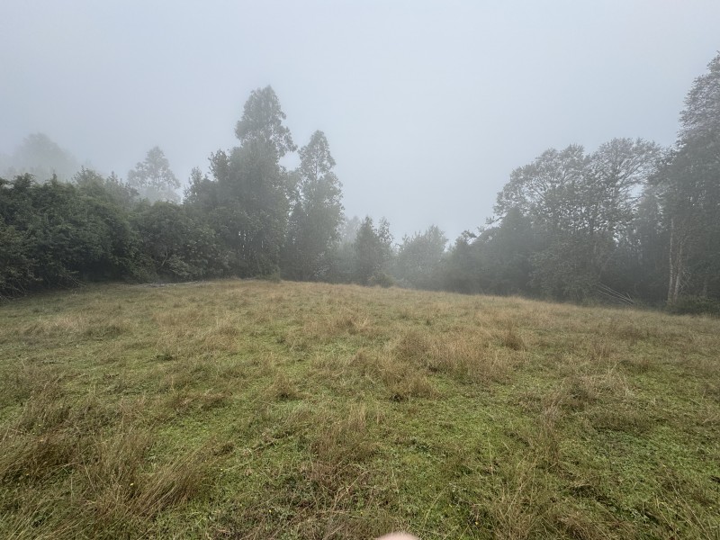Campo en venta en Loncoche — foto 5