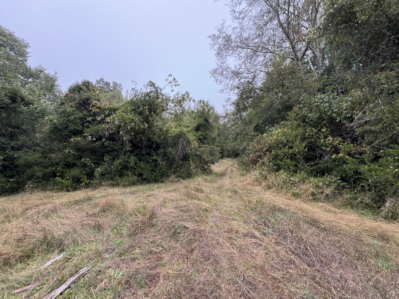 Campo en venta en Loncoche — foto 10