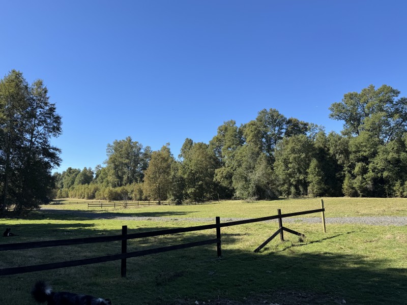 Parcela en venta en Villarrica — foto 3