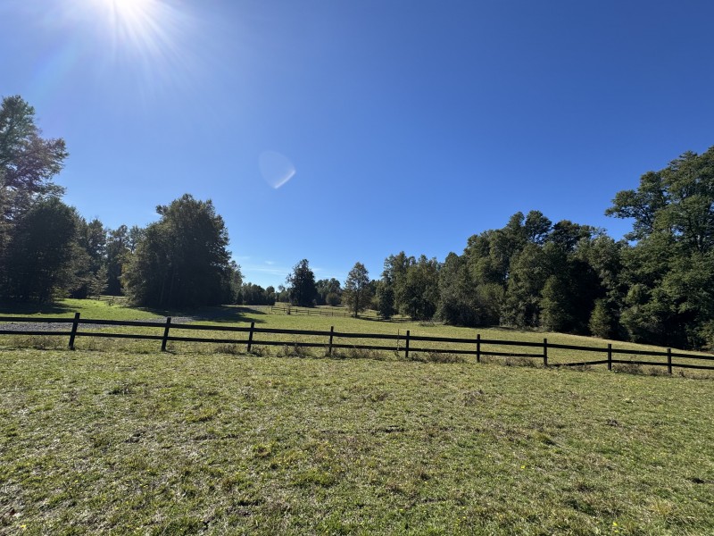Parcela en venta en Villarrica — foto 6