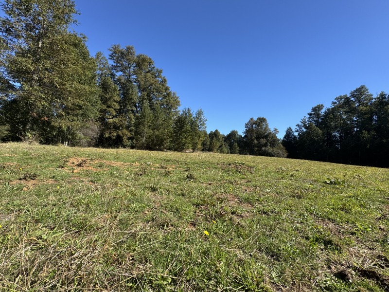 Parcela en venta en Villarrica — foto 9