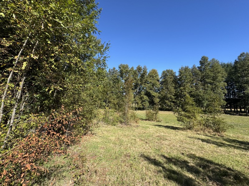 Parcela en venta en Villarrica — foto 10