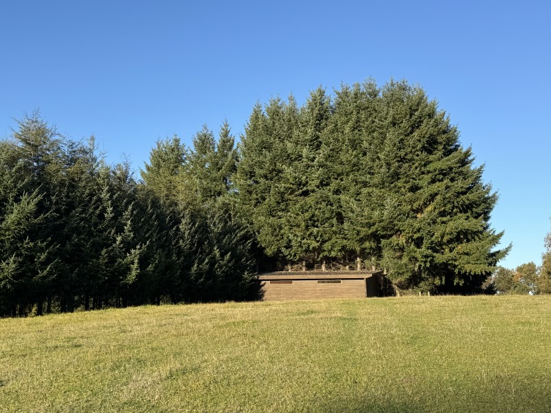 Parcela en venta en Villarrica — foto 3