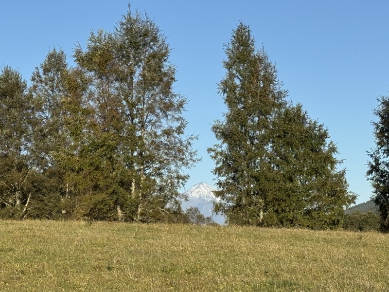 Parcela en venta en Villarrica — foto 4