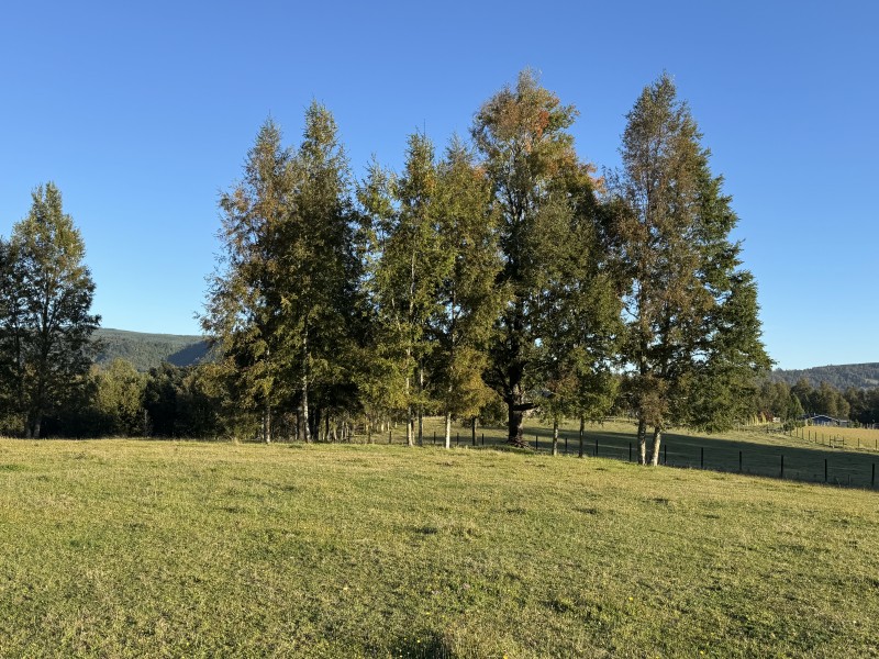 Parcela en venta en Villarrica — foto 5