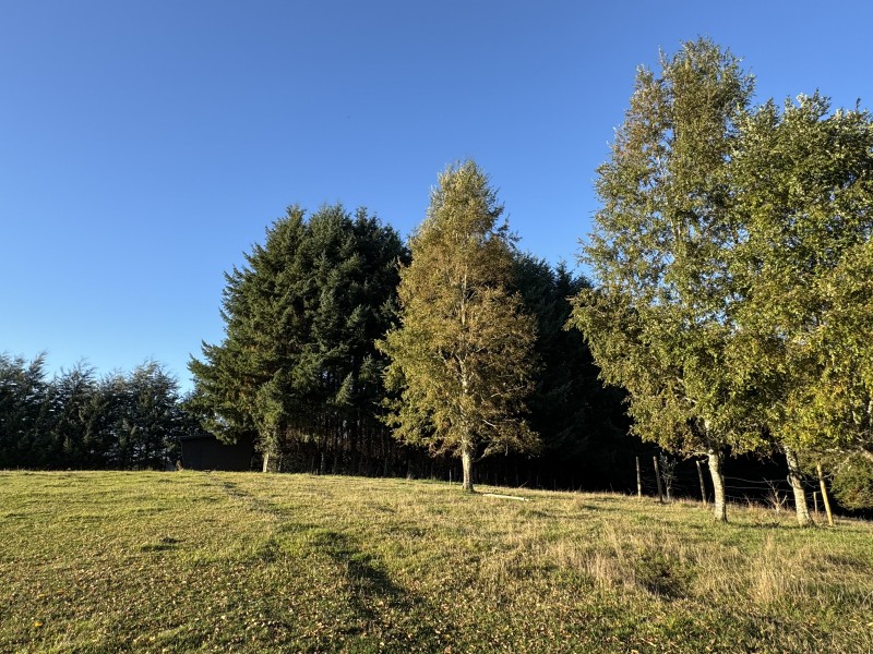 Parcela en venta en Villarrica — foto 7