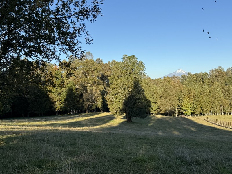 Parcela en venta en Villarrica — foto 8