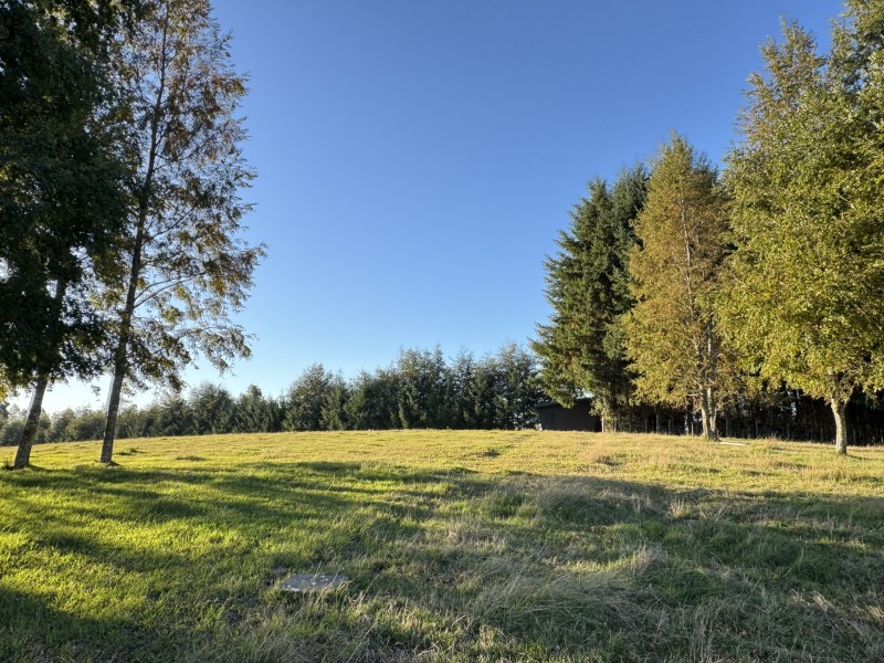 Parcela en venta en Villarrica — foto 10