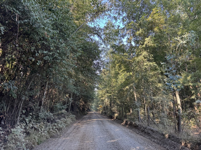 Parcela en venta en Villarrica — foto 3