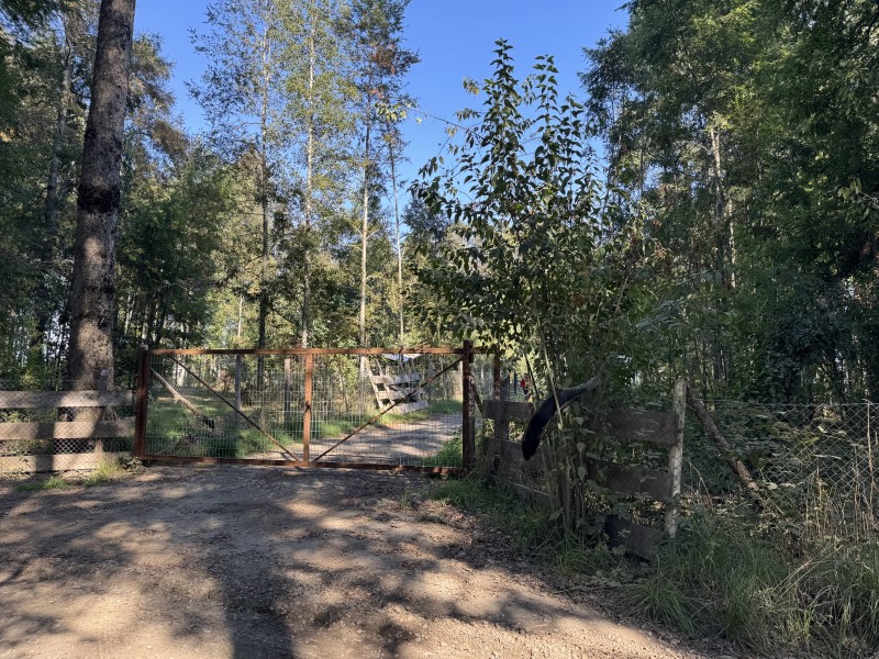 Parcela en venta en Villarrica — foto 4
