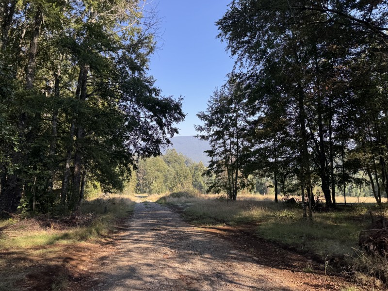 Parcela en venta en Villarrica — foto 5